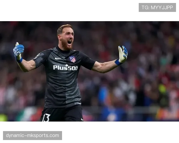 奥布拉克：斯洛文尼亚国家队历史最佳门将解析